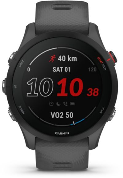 GARMIN Forerunner 255 Gray