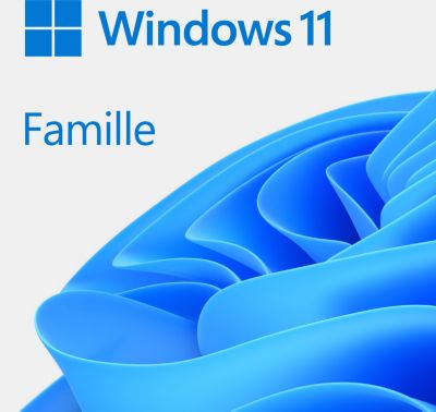 MICROSOFT Windows 11 Famille USB
