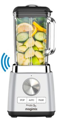 Blender MAGIMIX Power 5 XL Chrome Mat 11643
