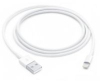 Câble Lightning APPLE Lightning vers USB 1m