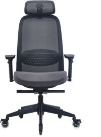 Chaise gaming SKILLKORP C15 Ergo Noir Progress