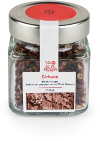 PEUGEOT Sichuan china cube epice