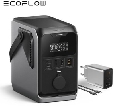 Station de charge ECOFLOW TRAIL 300 DC portable (288Wh)