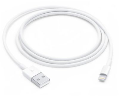 APPLE Lightning vers USB 1m