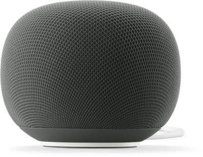 Assistant vocal GOOGLE Home Speaker Vert Sauge
