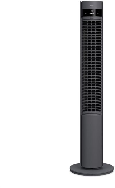 Ventilateur DUUX DXTF01