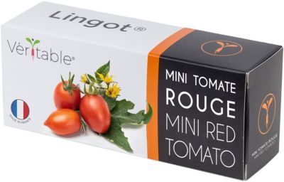 Recharge jardin d'intérieur VERITABLE mini tomate rouge