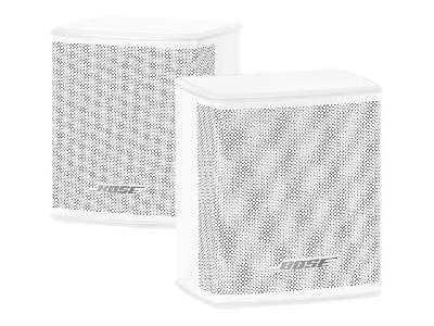 Bose Virtually Invisible 300